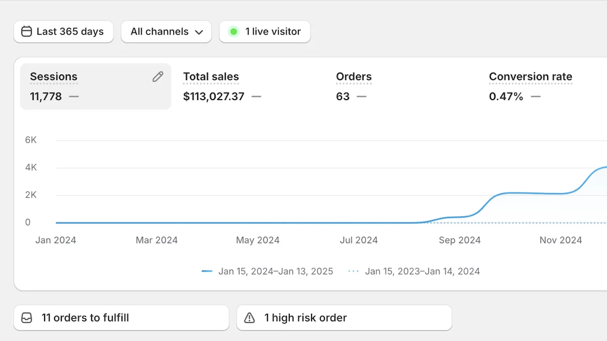 Shopify analytics for 15 January 2024 to 13 January 2025 showing 11,778 sessions, $113,027.37 in total sales, 63 orders and a 0.47% conversion rate, with sessions rising sharply from August 2024.